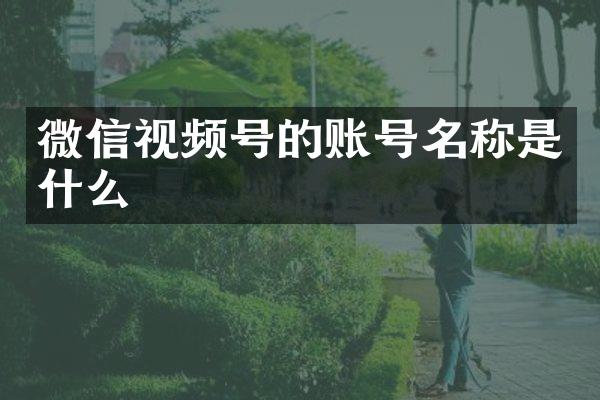 微信视频号的账号名称是什么