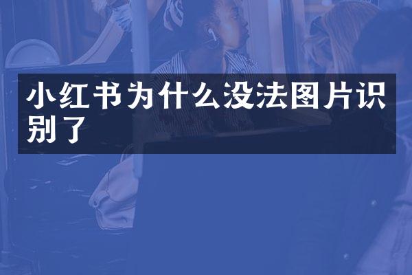 小红书为什么没法图片识别了