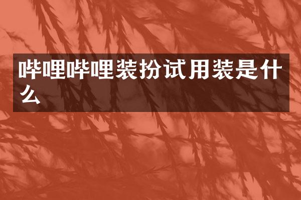哔哩哔哩装扮试用装是什么