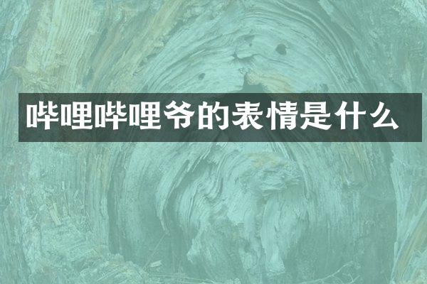 哔哩哔哩爷的表情是什么
