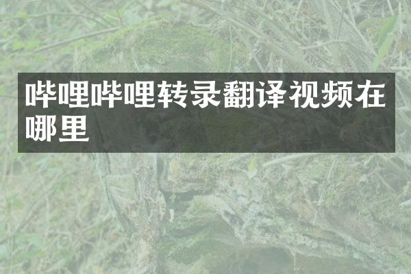 哔哩哔哩转录翻译视频在哪里