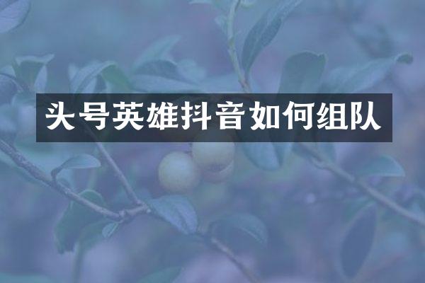 头号英雄抖音如何组队