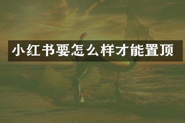 小红书要怎么样才能置顶