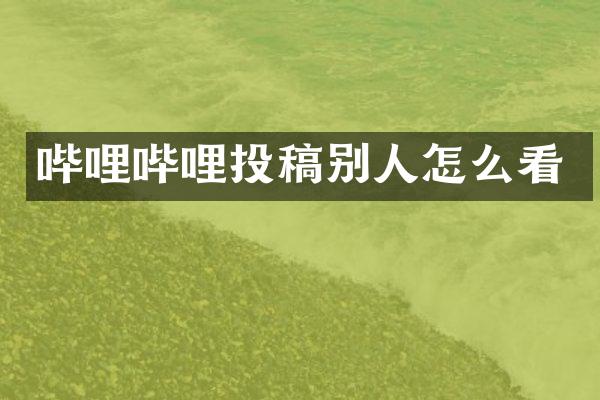 哔哩哔哩投稿别人怎么看