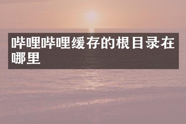 哔哩哔哩缓存的根目录在哪里