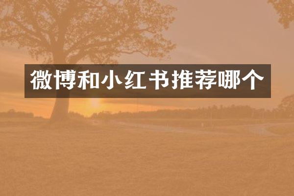 微博和小红书推荐哪个