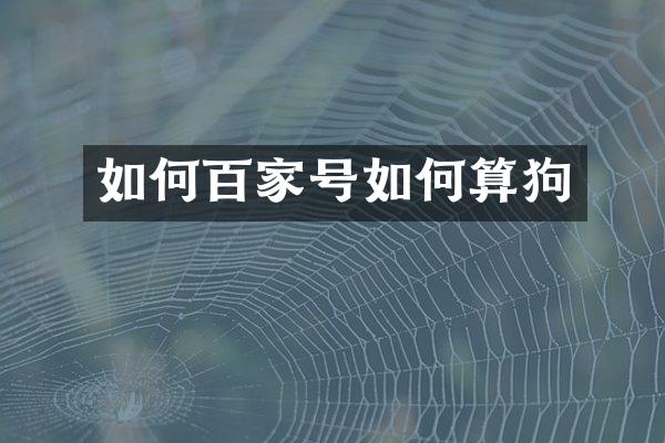 如何百家号如何算狗