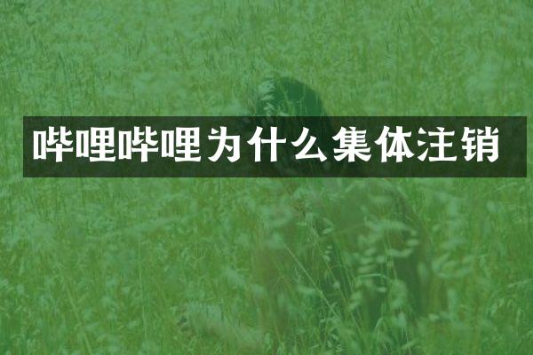 哔哩哔哩为什么集体注销