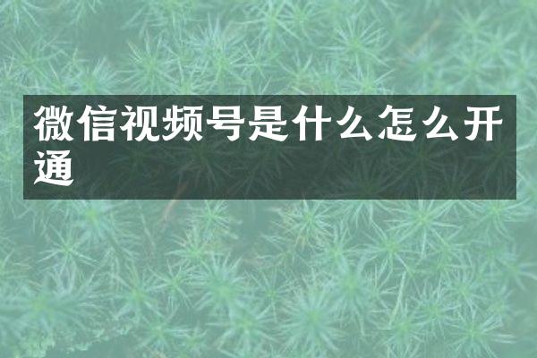 微信视频号是什么怎么开通
