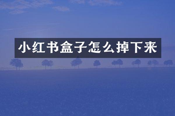 小红书盒子怎么掉下来