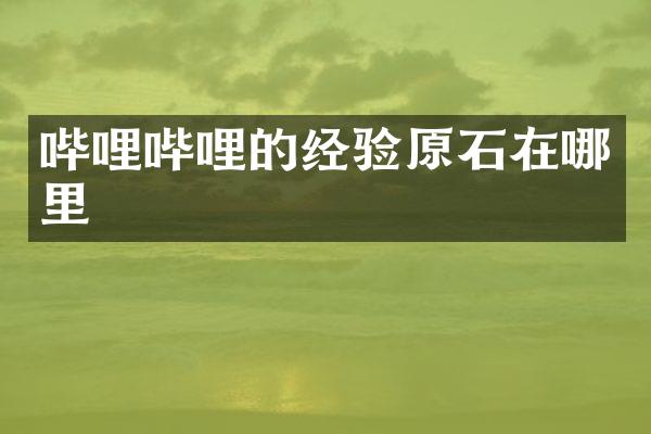 哔哩哔哩的经验原石在哪里