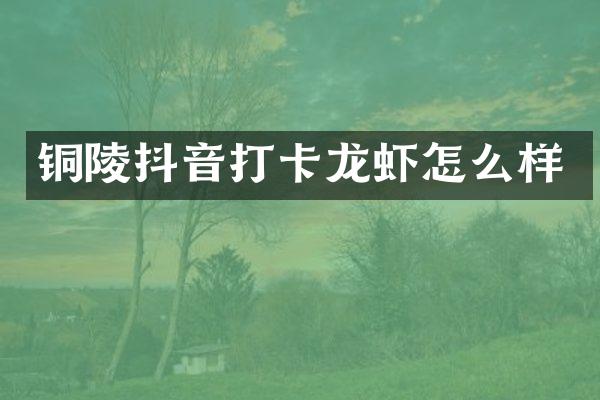 铜陵抖音打卡龙虾怎么样