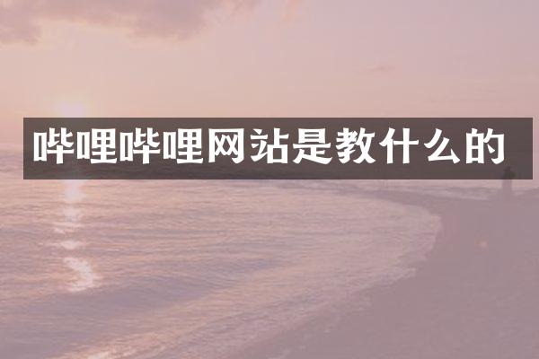 哔哩哔哩网站是教什么的
