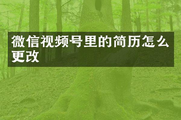 微信视频号里的简历怎么更改