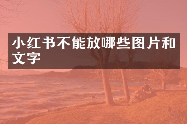 小红书不能放哪些图片和文字