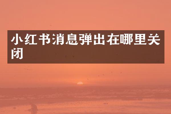 小红书消息弹出在哪里关闭