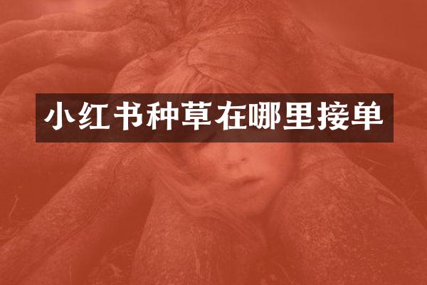 小红书种草在哪里接单