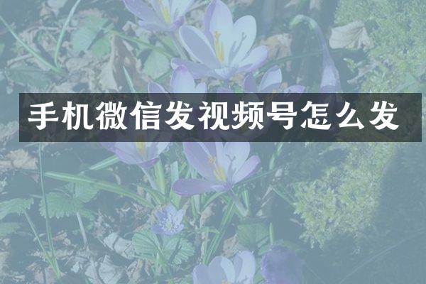 手机微信发视频号怎么发