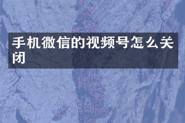 手机微信的视频号怎么关闭