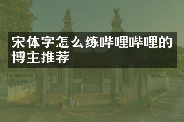 宋体字怎么练哔哩哔哩的博主推荐