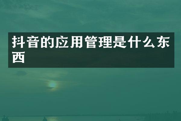 抖音的应用管理是什么东西