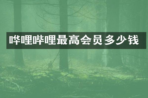 哗哩哔哩最高会员多少钱
