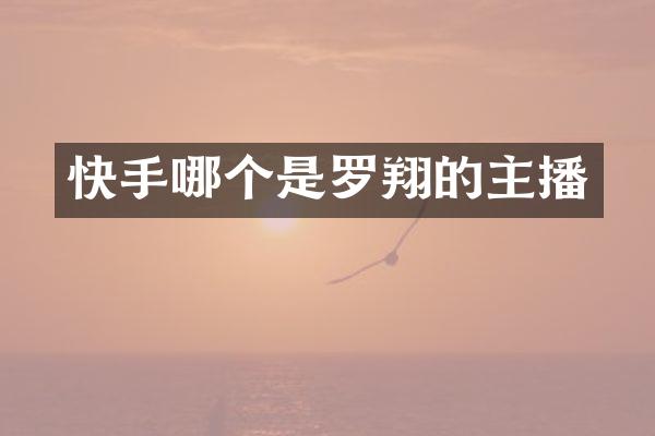 快手哪个是罗翔的主播