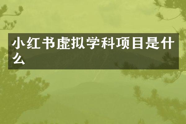 小红书虚拟学科项目是什么