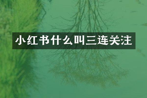 小红书什么叫三连关注
