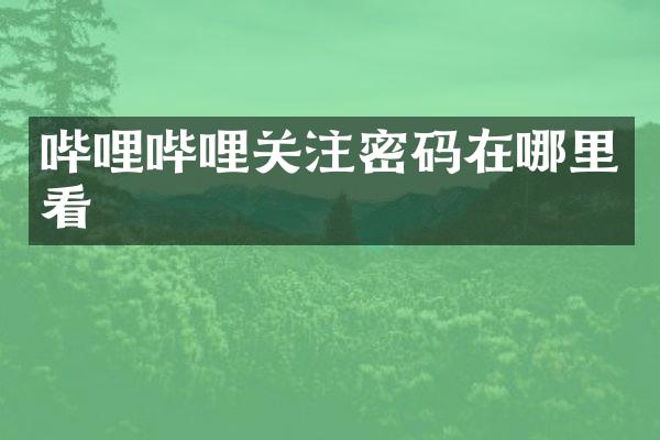 哔哩哔哩关注密码在哪里看