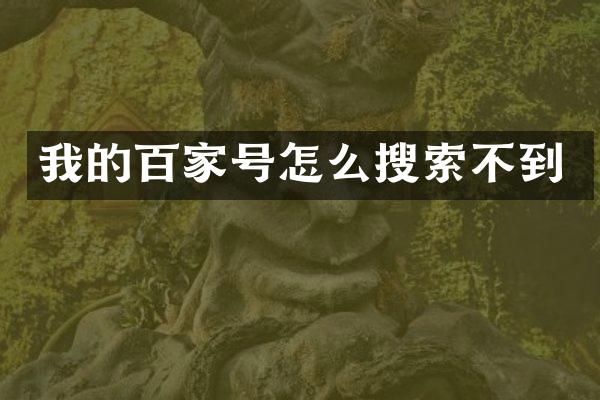 我的百家号怎么搜索不到