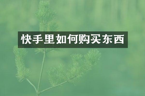 快手里如何购买东西