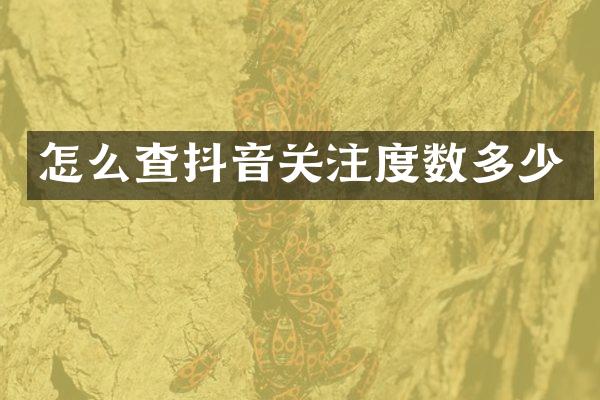 怎么查抖音关注度数多少