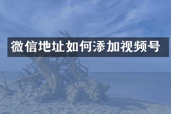 微信地址如何添加视频号