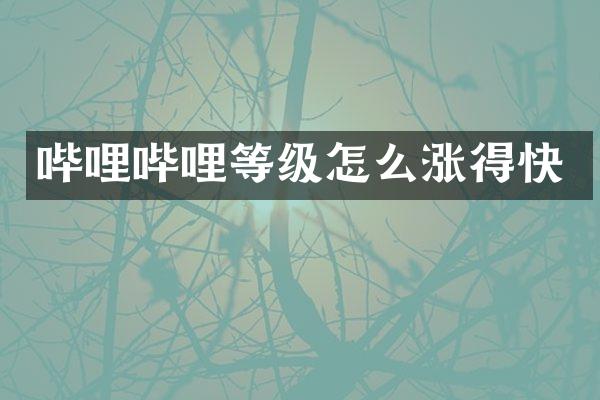 哔哩哔哩等级怎么涨得快