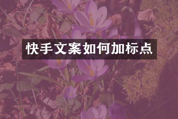 快手文案如何加标点