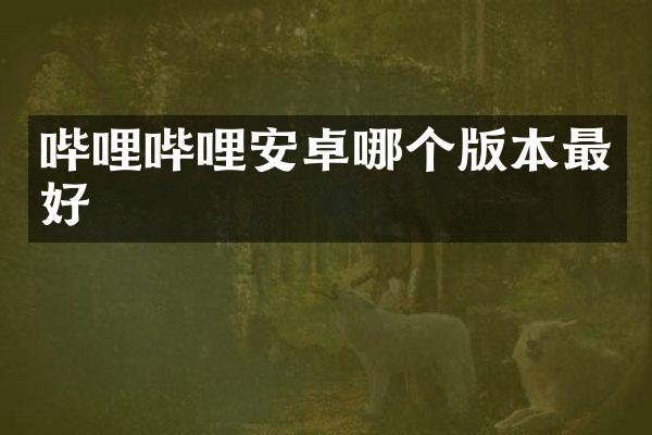 哔哩哔哩安卓哪个版本最好