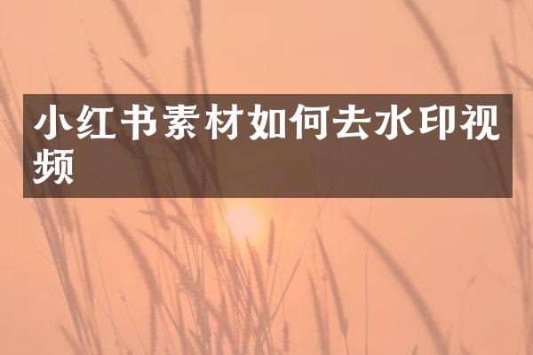 小红书素材如何去水印视频