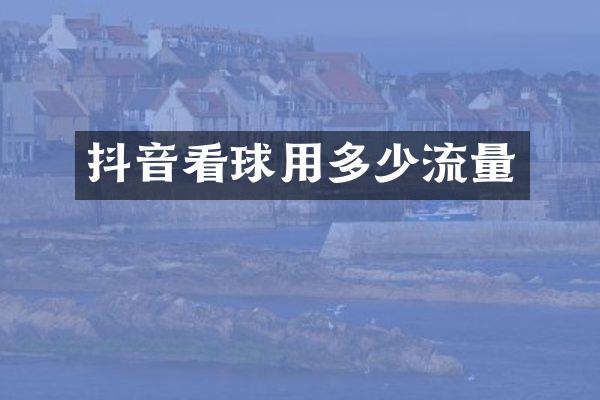 抖音看球用多少流量