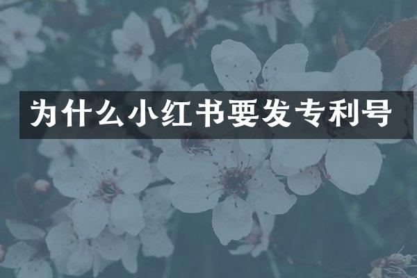 为什么小红书要发专利号