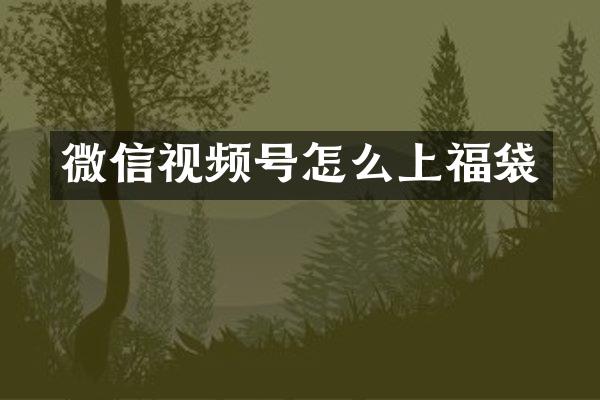 微信视频号怎么上福袋
