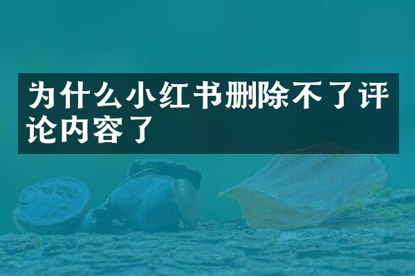 为什么小红书删除不了评论内容了