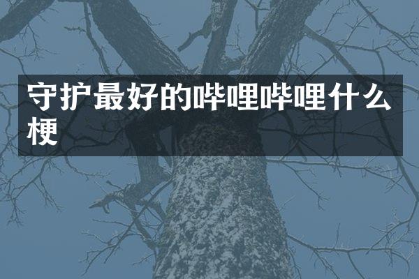 守护最好的哔哩哔哩什么梗