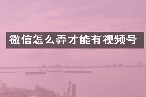 微信怎么弄才能有视频号