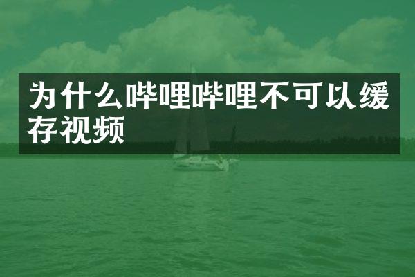 为什么哔哩哔哩不可以缓存视频
