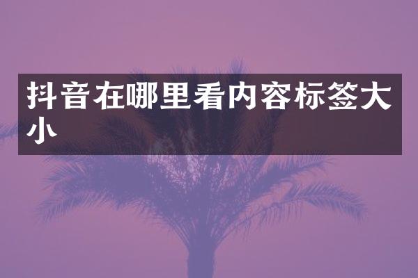 抖音在哪里看内容标签大小