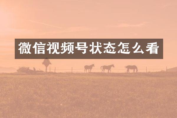 微信视频号状态怎么看