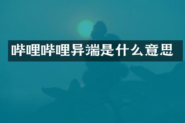 哔哩哔哩异端是什么意思