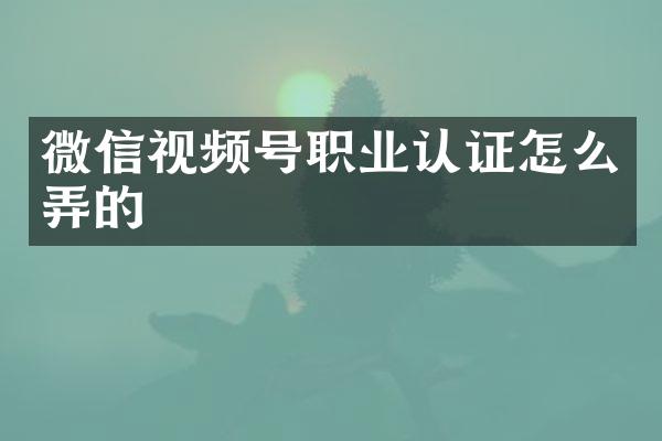 微信视频号职业认证怎么弄的