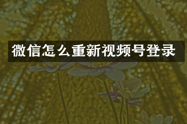 微信怎么重新视频号登录
